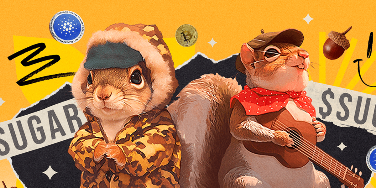 Sugar (SUGR) Debuts on AscendEX: Everything You Need to Know Feature image
